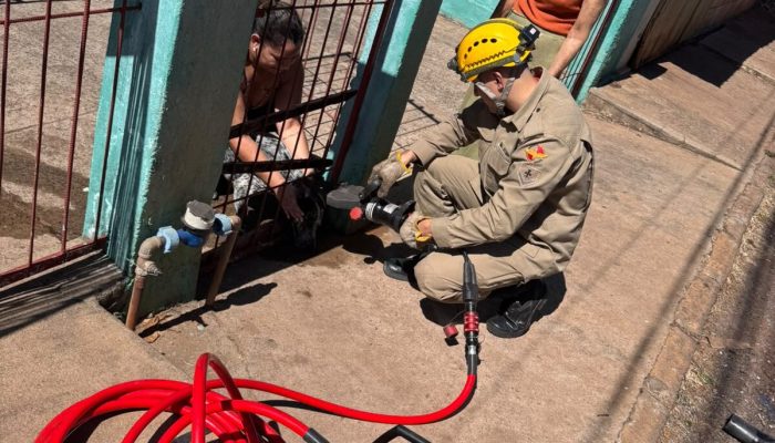 Cachorro preso em grade de portão é resgatado pelos bombeiros em Goiás