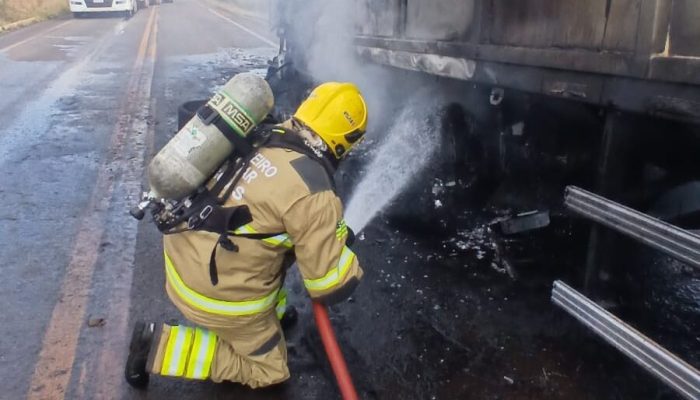 Incêndio destrói caminhão na GO-184, mas bombeiros evitam que fogo atinja carga de 33 toneladas