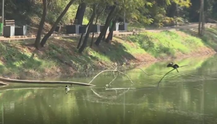 Mulheres denunciam homem que estaria praticando atos obscenos no Setor Parque das Flores, em Goiânia