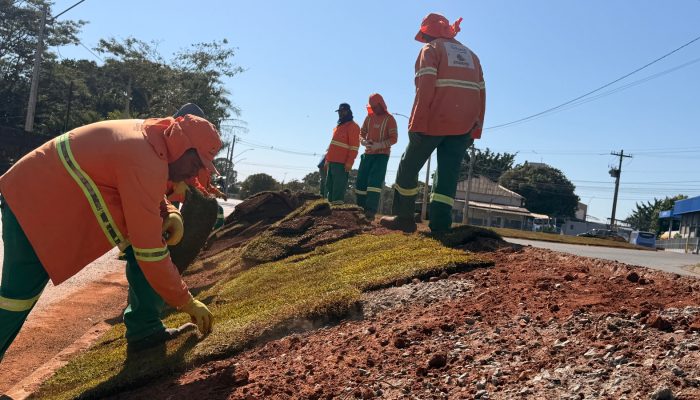 Goiânia ganha novas áreas verdes com plantio de árvores e revitalização de avenidas