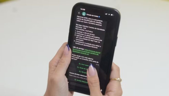 Agora é online: veja quais serviços públicos já podem ser solicitados pelo WhatsApp em Goiás