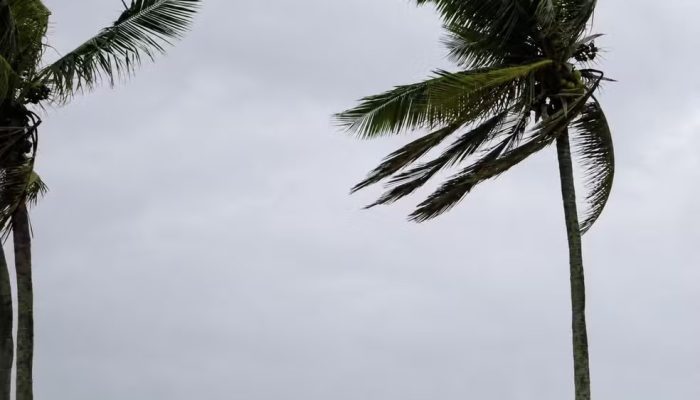Inmet emite alerta de vendaval para Goiás; veja quais cidades podem ser atingidas