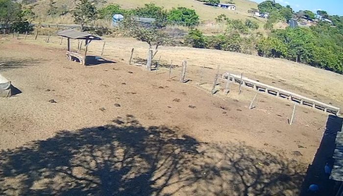 Exclusivo: imagens mostram instante em que caminhão atinge ônibus e causa tragédia na GO-010