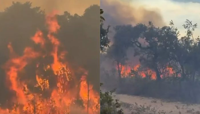 Incêndio na região de Terra Ronca deixa mais de 10 mil hectares queimados