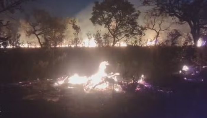 Incêndio de grandes proporções atinge 10,4 mil hectares em Terra Ronca, em Goiás