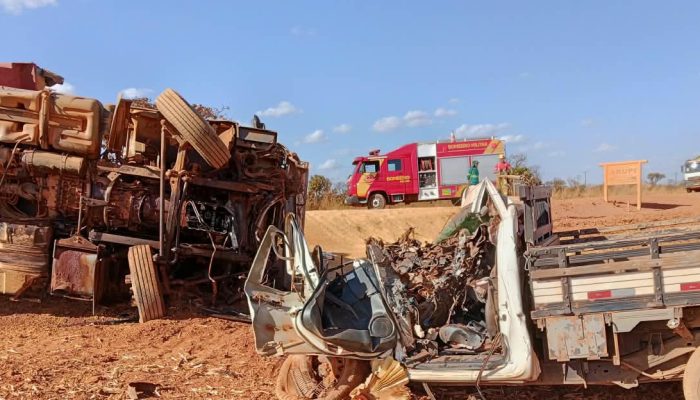 Grave acidente entre caminhão e caminhonete deixa uma pessoa morta na GO-206