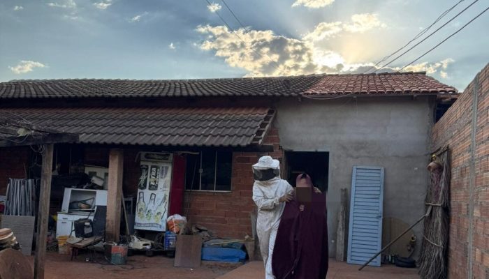 Ataque de abelhas deixa cerca de 40 pessoas feridas e mobiliza bombeiros em Piracanjuba