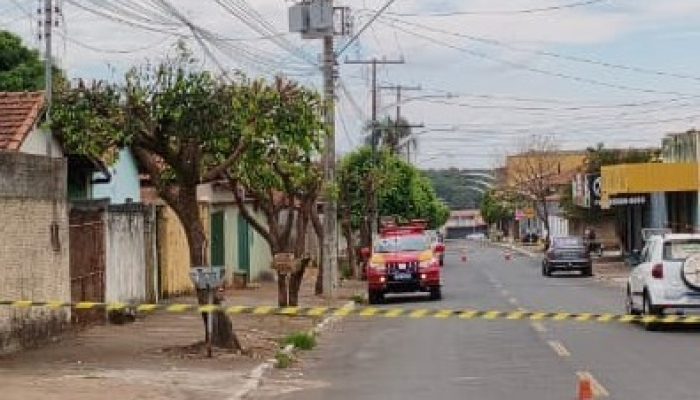 Enxame de abelhas invade quarteirão, ataca pessoas e mata cão em Caldas Novas