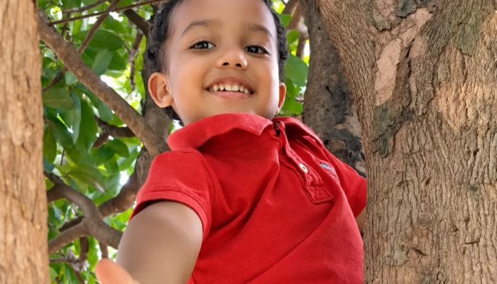 Criança de 4 anos morre após se afogar em lago de Trindade