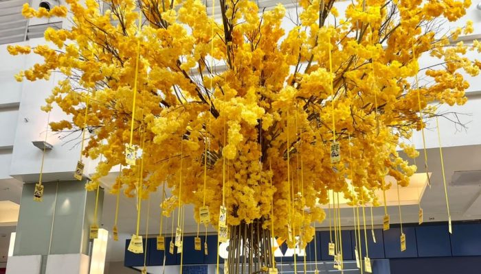 Setembro Amarelo reforça importância do cuidado e do diálogo sobre saúde mental