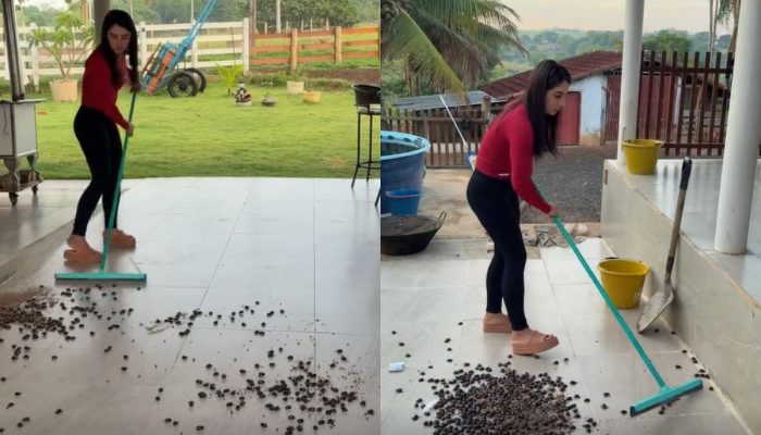 Influenciadora goiana mostra invasão de besouros em casa na roça: “Ô trem difícil de limpar!”