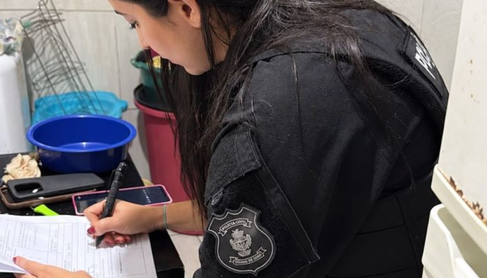 Polícia Civil investiga crimes envolvendo armazenamento de conteúdo de abuso sexual infantojuvenil, em Goiânia