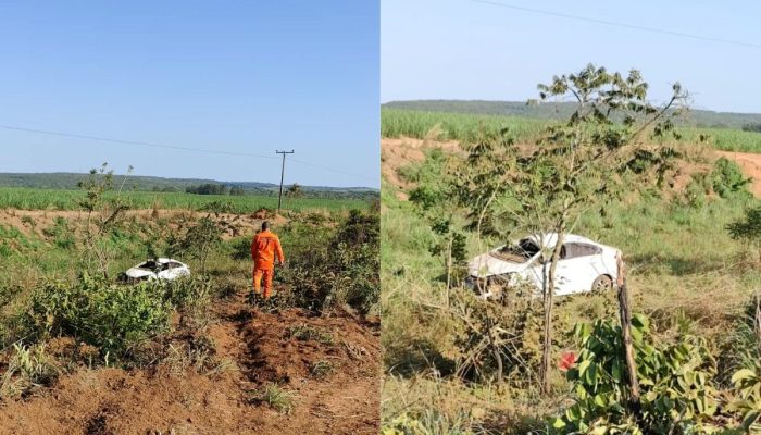 Homem morre após carro capotar ao bater em anta na GO-341, em Mineiros