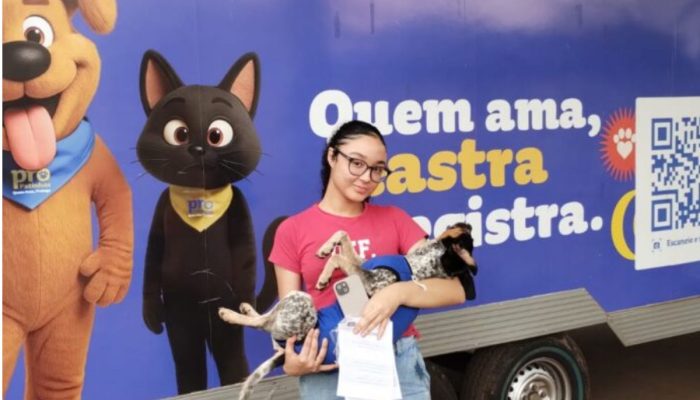 Mutirão gratuito de castração de cães e gatos acontece no fim de setembro, em Goiânia