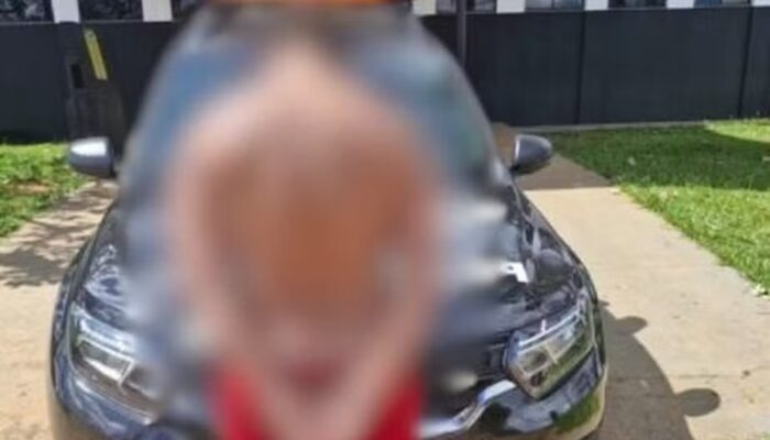 Homem é preso por tentar furtar R$ 350 mil em gado em Goiás