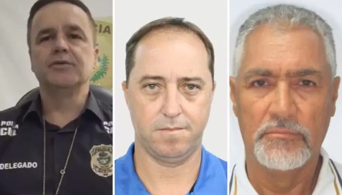Delegado, um agente e escrivão são afastados por suspeita de desviar cargas apreendidas em Goiás