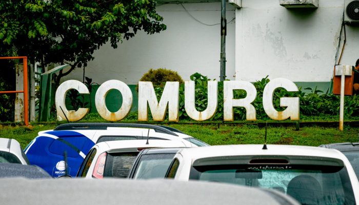 (Foto: Reprodução)